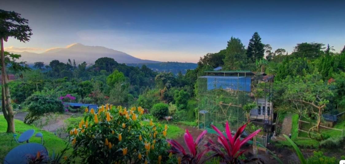 Villa Chacha at Macarena, Megamendung Bagian luar foto